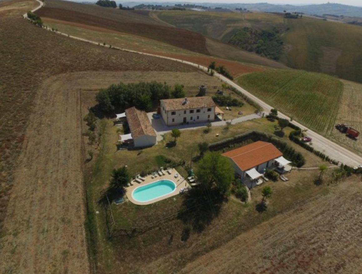 Rustico Del Bozzo Guest House Castelleone di Suasa Ngoại thất bức ảnh