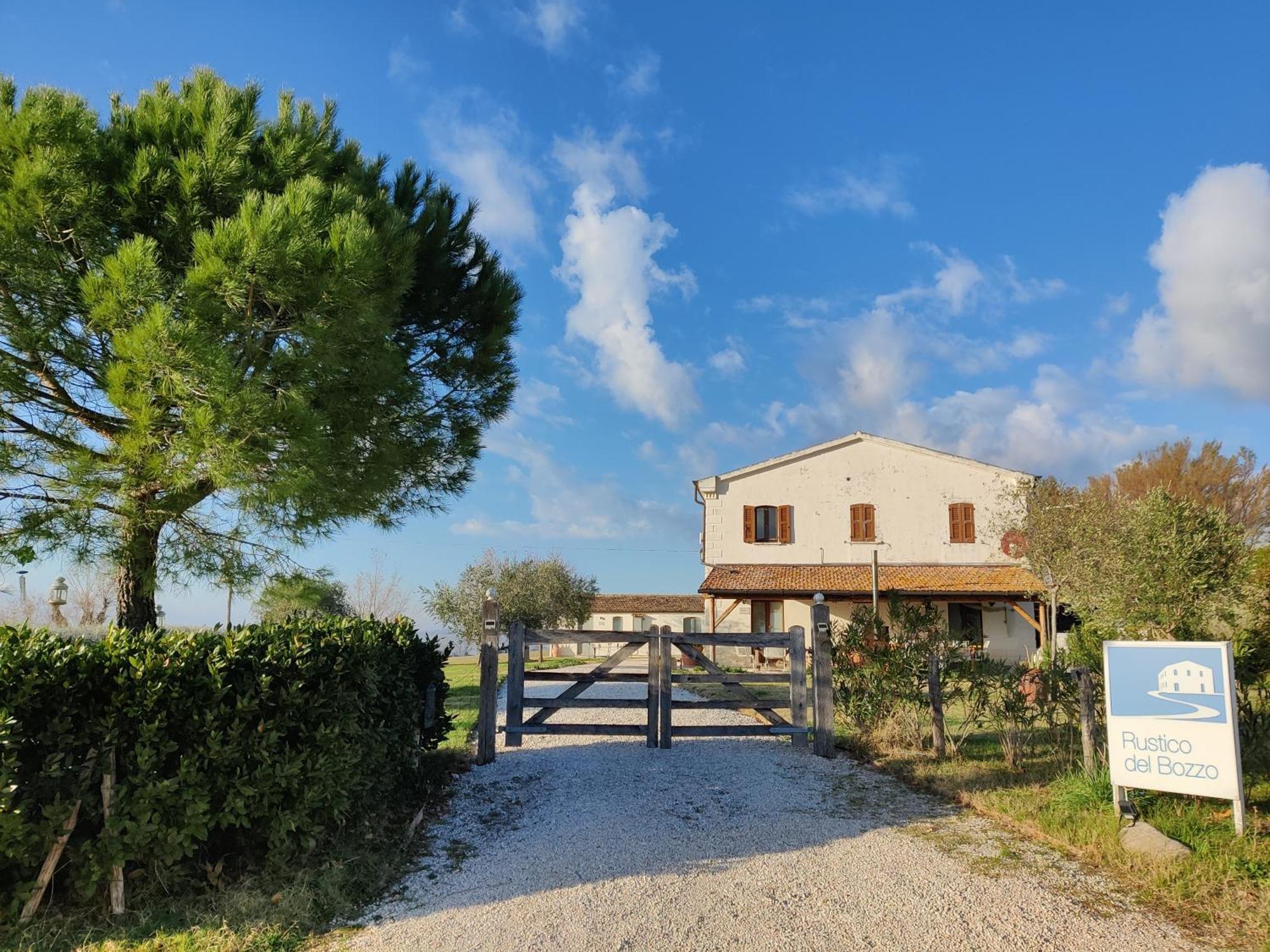 Rustico Del Bozzo Guest House Castelleone di Suasa Ngoại thất bức ảnh