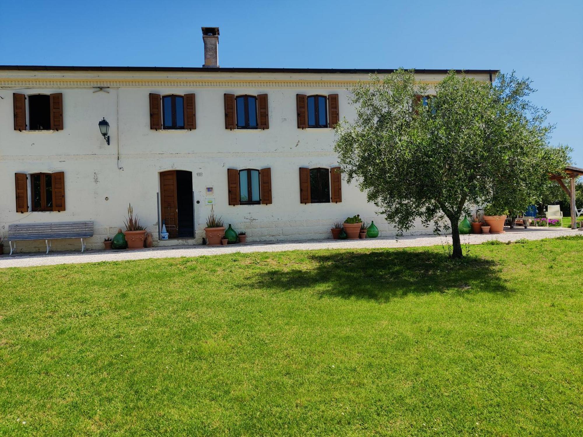 Rustico Del Bozzo Guest House Castelleone di Suasa Ngoại thất bức ảnh