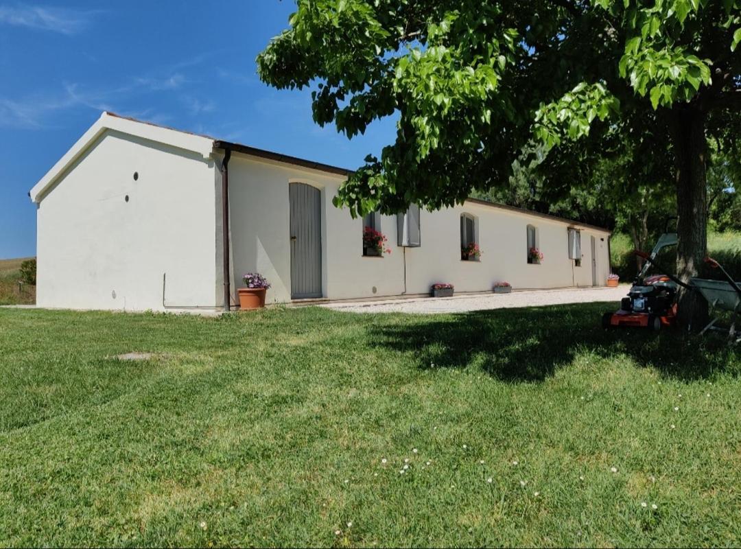 Rustico Del Bozzo Guest House Castelleone di Suasa Ngoại thất bức ảnh